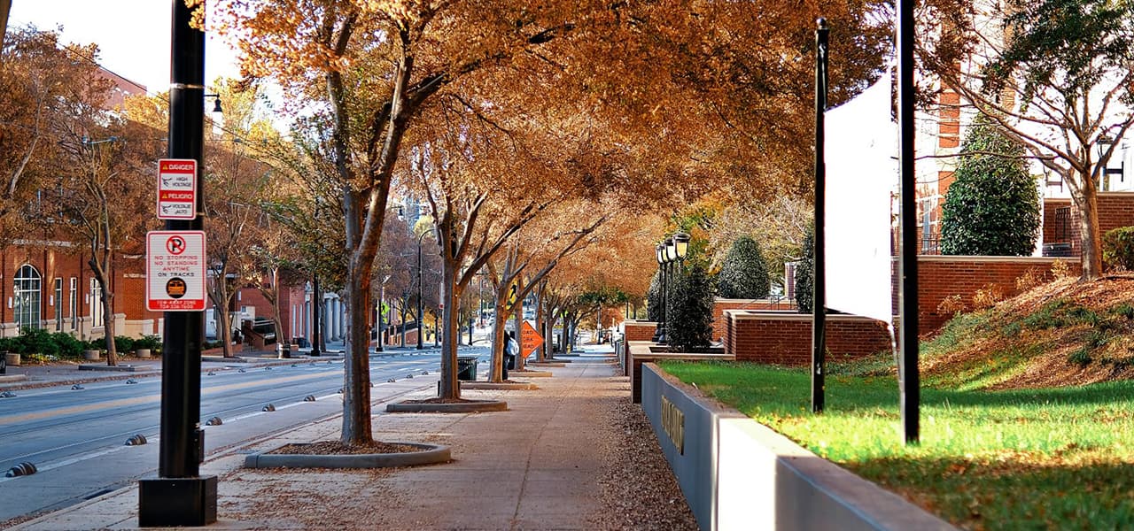 November Checklist for NSCS Members: Preparing for Finals and the Holidays