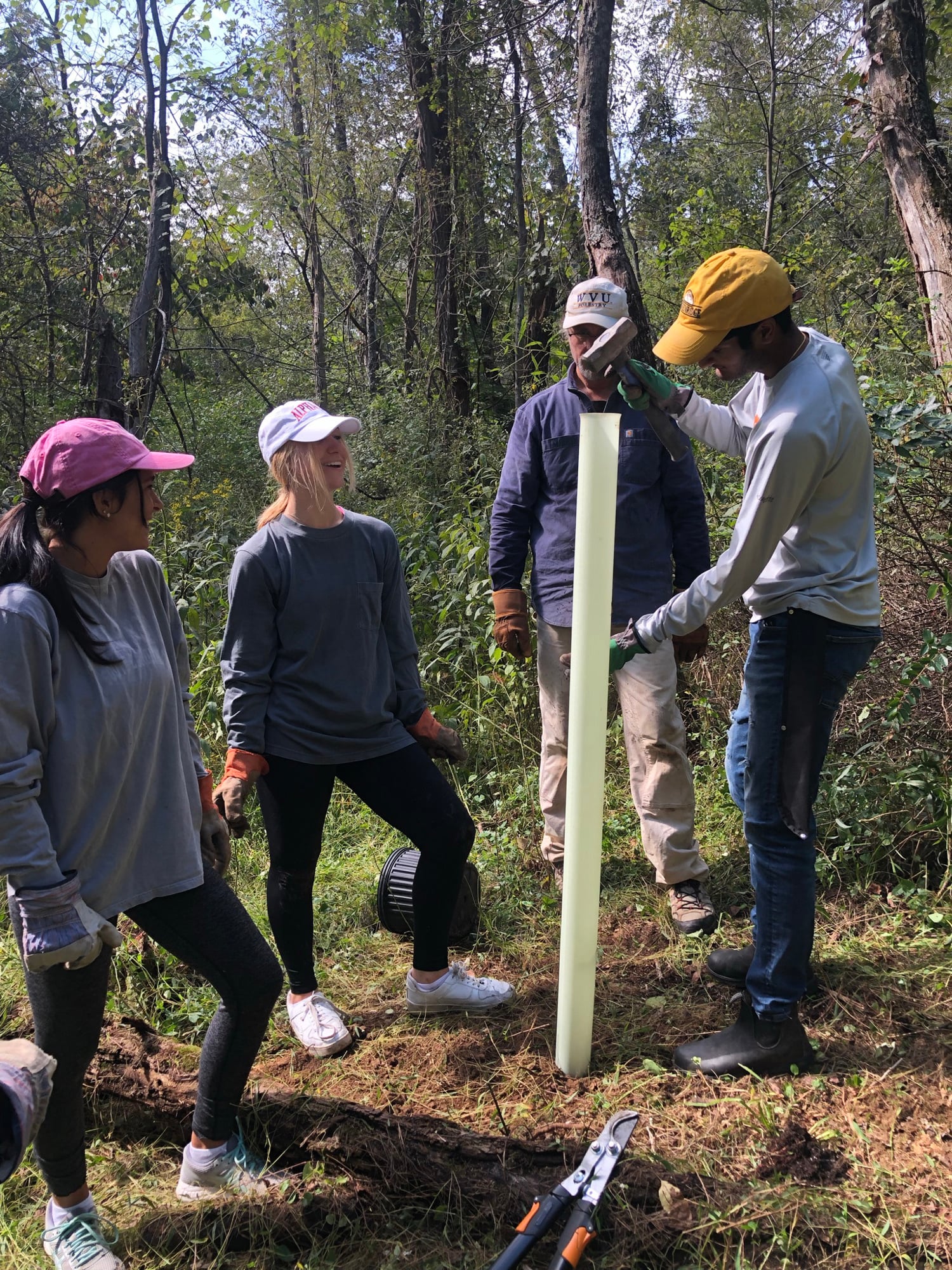 Photo from West Virginia University