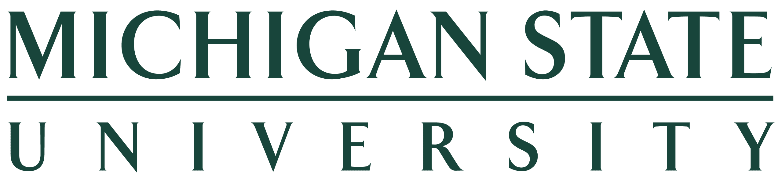 Michigan State University