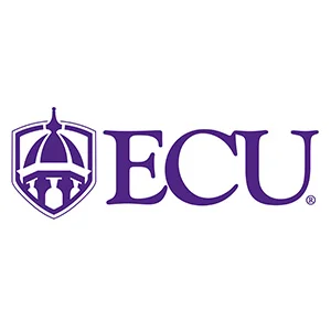 ECU lockup primary Purple